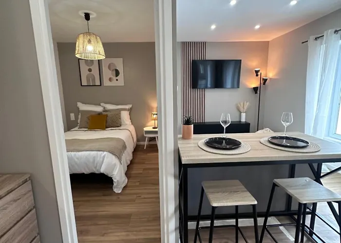 Le 28 Bis - Moderne & Confort 公寓 永河畔拉罗什