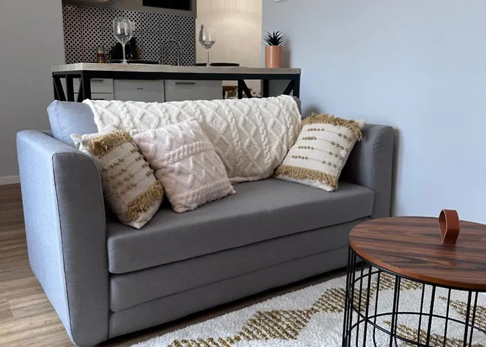 Le 28 Bis - Moderne & Confort 公寓 永河畔拉罗什